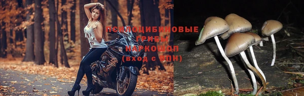 прущая мука Кинешма